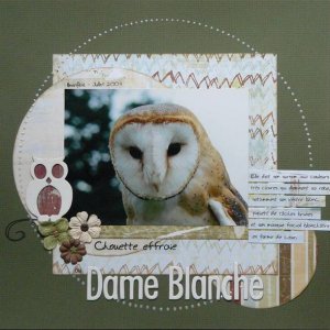 Dame Blanche