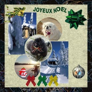 norl_forum_2