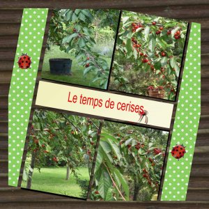 le_temps_des_cerises