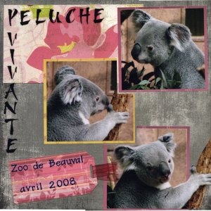 Peluche vivante