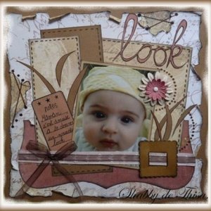 page look http://scrapinfin.canalblog.com/