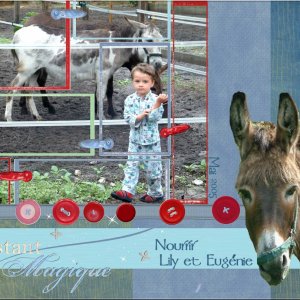 Les_Anes