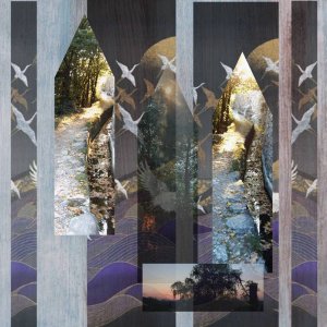Mystérieuse migration
