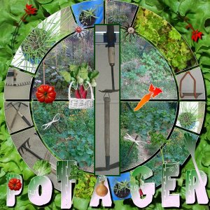 potager_jardin