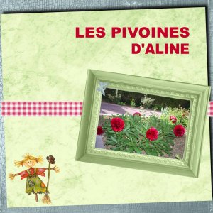 Les pivoines