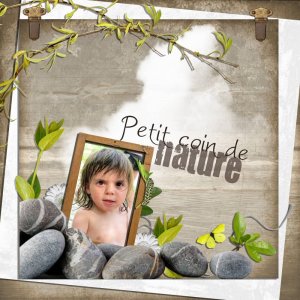 Petit coin de nature