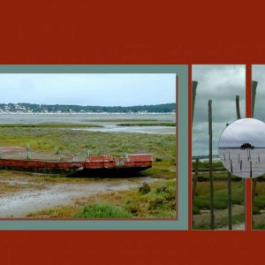 Sur l'Ile aux Oiseaux