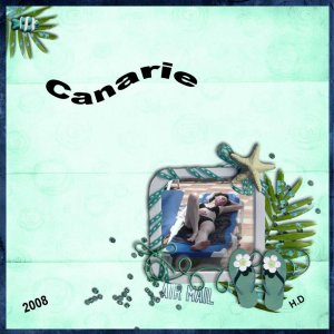 les canarie 2008