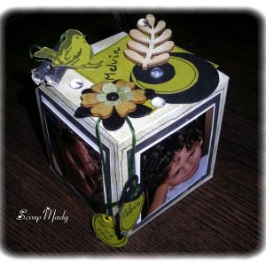 cube photo