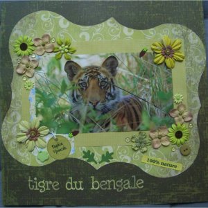 Tigre du Bengale