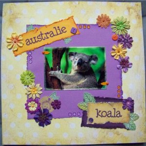 Koala Page Gratter