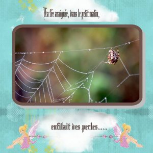 La fée araignée
