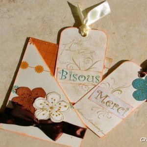 CARTE à TAGS ou CARTES A DOUBLE POCHETTES avec tags sortis