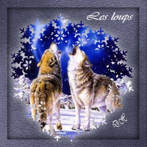 les_loups