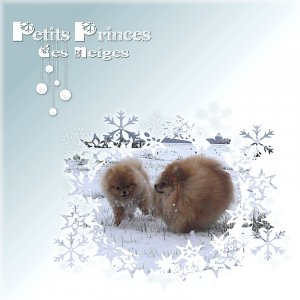 Petits Princes