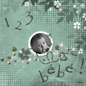 1.2.3. bébé