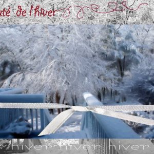 Jardin d'hiver