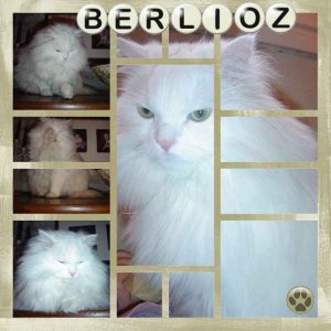 BERLIOZ