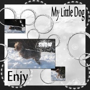 MY_LITTLE_DOG