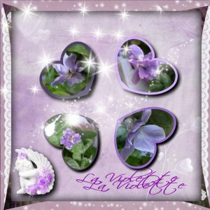 violettes1