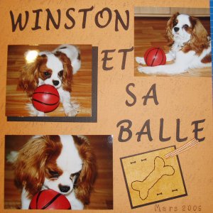 Winston et sa balle
