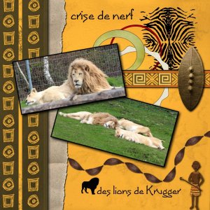 les lions de Krugger