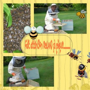 l'amour du miel