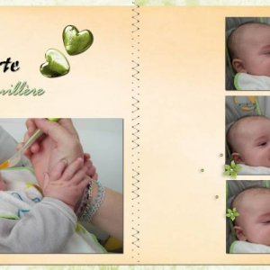 cuillere1