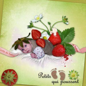 Envie de Fraises