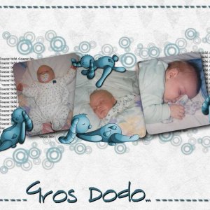 GROS_DODO1