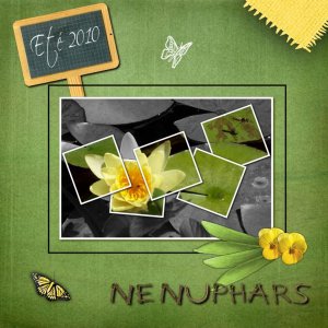 Nénuphars