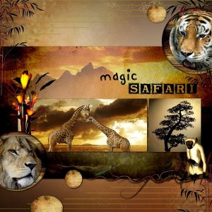 magic_safari