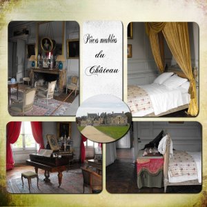 Pièces meublées du Château....