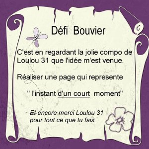 Défi Bouvier