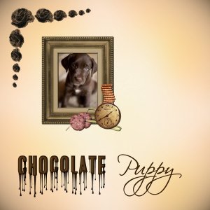 désir chocolaté 2