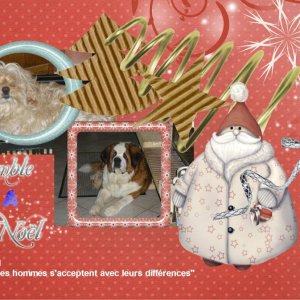 concours_scrap