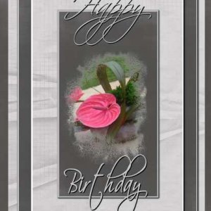 Happy Birthday  (une fleur   rose sur fond gris )
