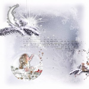 princesse des neiges de lau