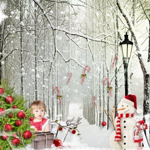 Winter's Apples