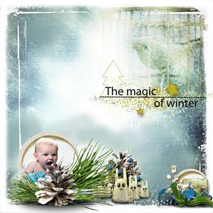 Winter treasures