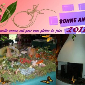 BONNE ANNEE 2011