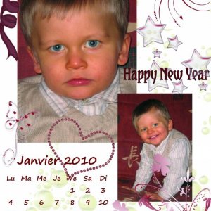 calendrier janvier 2010