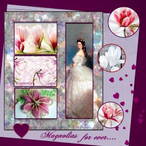 Magnolias for ever