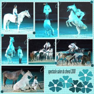 spetacle equestre de nuit