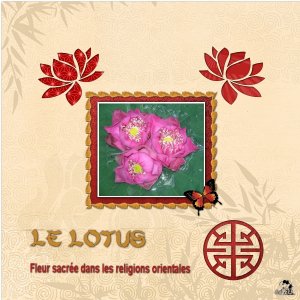 Defi Marie Laure - fleur