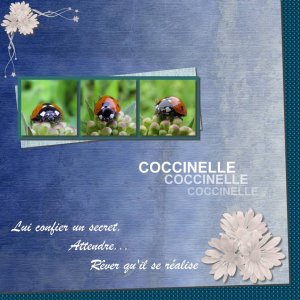 Coccinelle #2