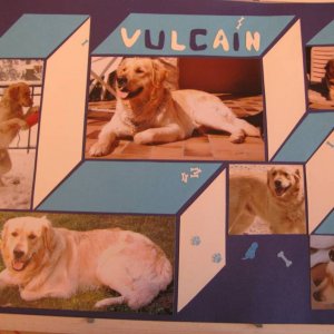 chien vulcain