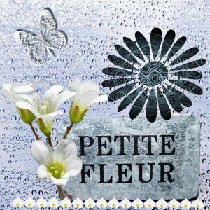 petite_fleur9
