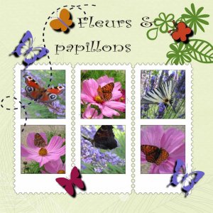 defi_Max_fleurs_et_papillons