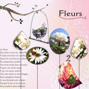 Defi Max fleurs